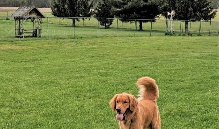 Royal Acres Country Club - Valparaiso, IN