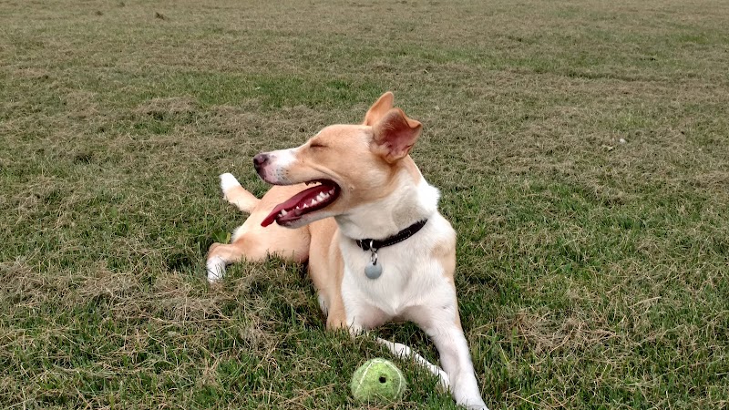 Royal Acres Country Club - Valparaiso, IN