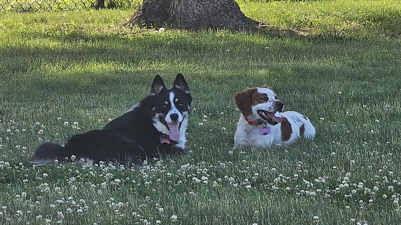 Royal Acres Country Club - Valparaiso, IN