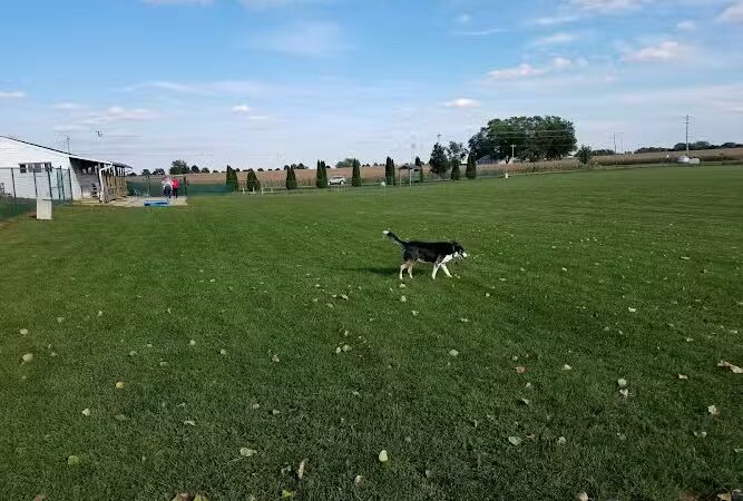 Royal Acres Country Club - Valparaiso, IN