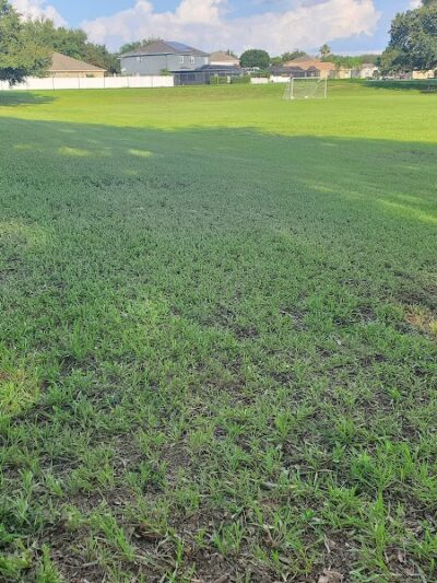 Buckhorn Park - Valrico, FL