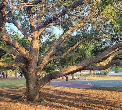 Buckhorn Park - Valrico, FL