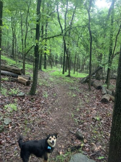 Colley Park - Van Buren, AR