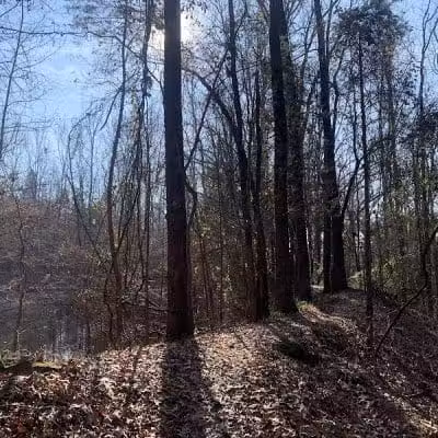 Colley Park - Van Buren, AR