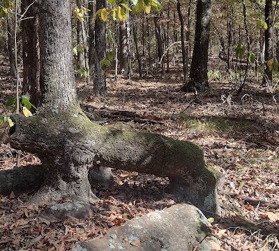 Colley Park - Van Buren, AR