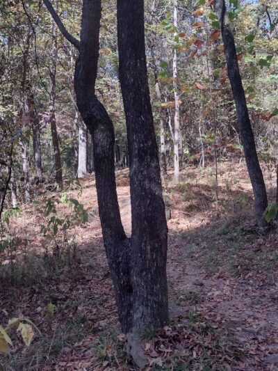 Colley Park - Van Buren, AR