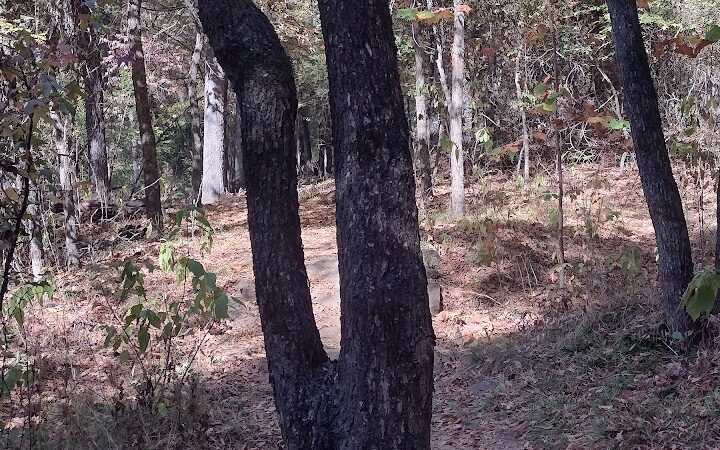 Colley Park - Van Buren, AR