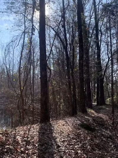 Colley Park - Van Buren, AR