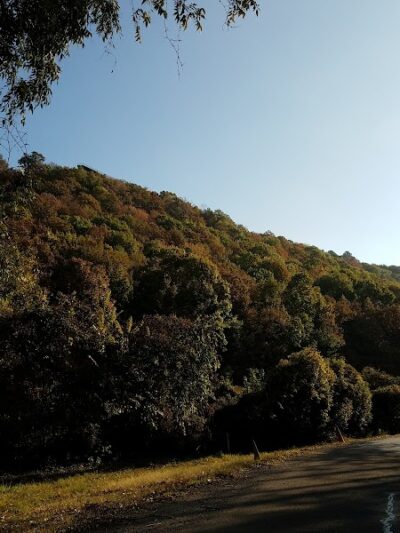 Lee Creek Park - Van Buren, AR