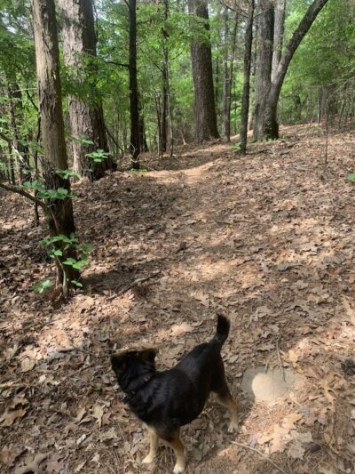 Lee Creek Reservoir Recreation Area - Van Buren, AR