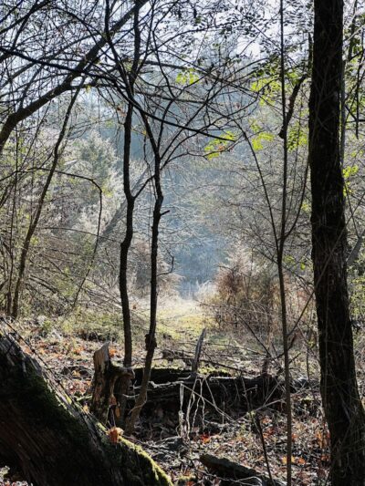 Lee Creek Reservoir Recreation Area - Van Buren, AR