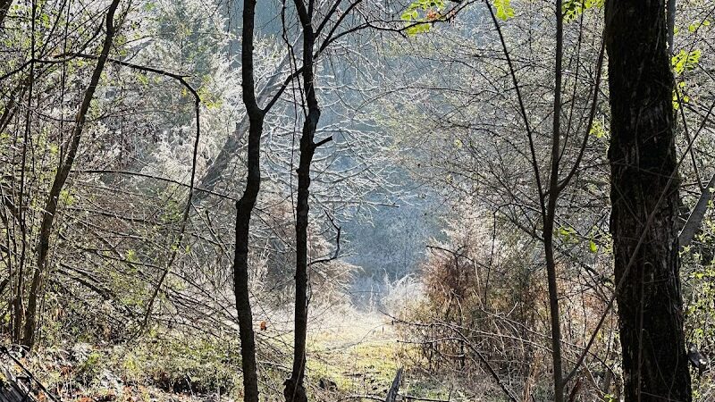 Lee Creek Reservoir Recreation Area - Van Buren, AR