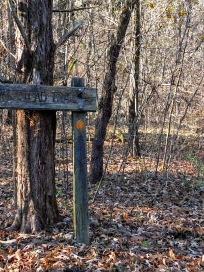 Lee Creek Reservoir Recreation Area - Van Buren, AR