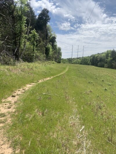 Lee Creek Reservoir Recreation Area - Van Buren, AR