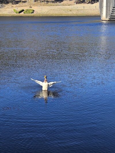 Peer Park - Van Buren, AR