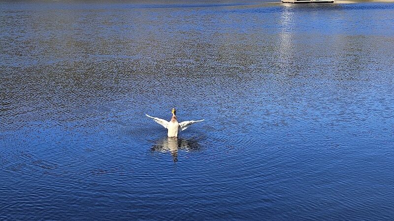 Peer Park - Van Buren, AR