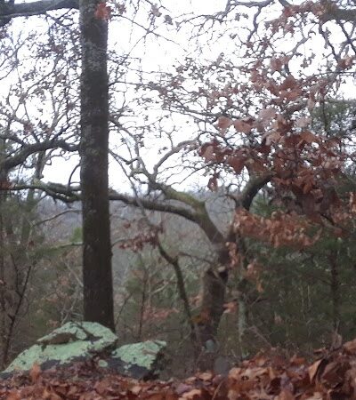 Peer Park - Van Buren, AR