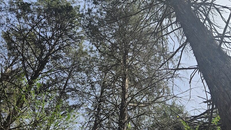 Peer Park - Van Buren, AR