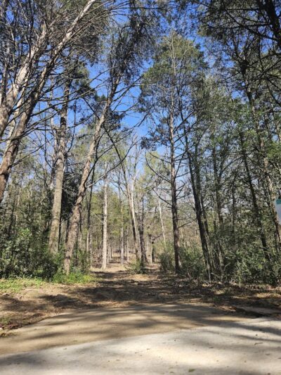 Peer Park - Van Buren, AR