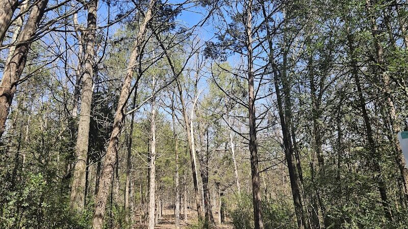 Peer Park - Van Buren, AR