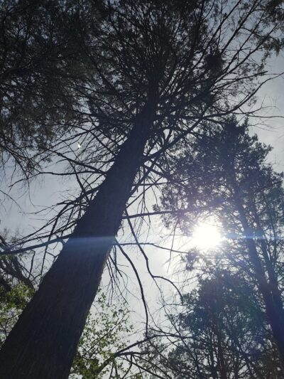 Peer Park - Van Buren, AR