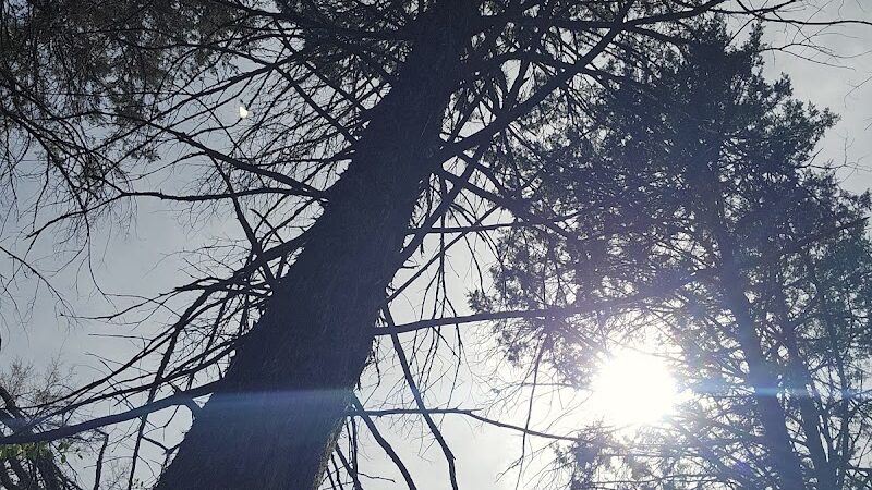 Peer Park - Van Buren, AR