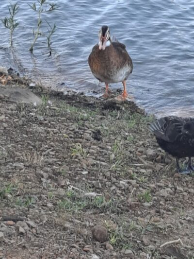 Playground - Van Buren, AR