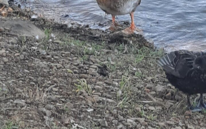 Playground - Van Buren, AR