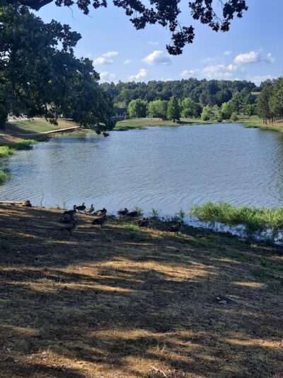 Playground - Van Buren, AR