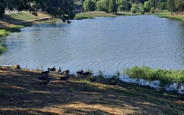 Playground - Van Buren, AR