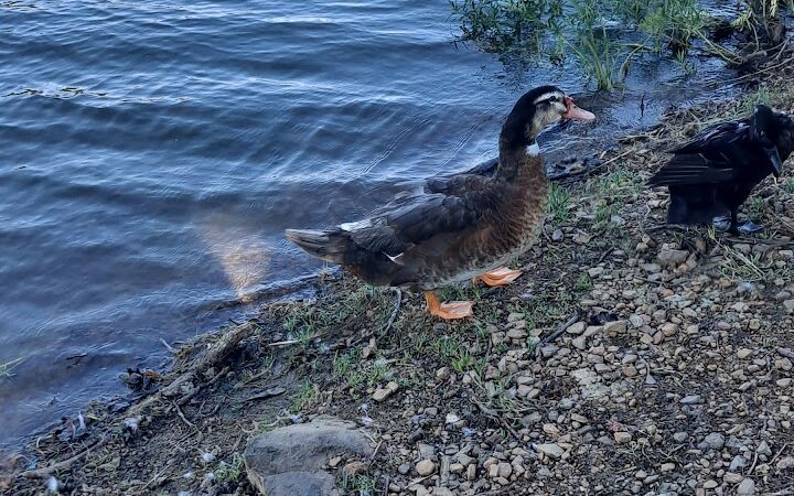 Playground - Van Buren, AR