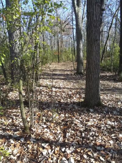 Van Dyne Lions Community Park & Playground - Van Dyne, WI