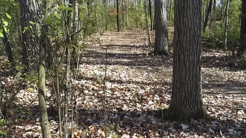 Van Dyne Lions Community Park & Playground - Van Dyne, WI