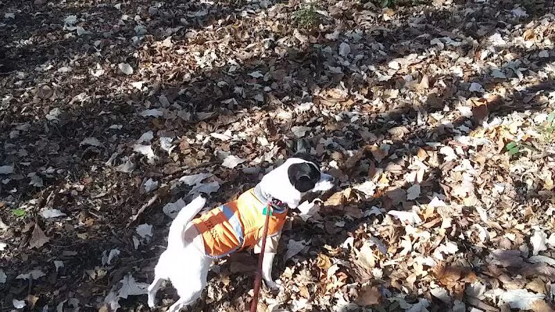 Van Dyne Lions Community Park & Playground - Van Dyne, WI