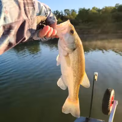 Badger Creek State Recreation Area - Van Meter, IA