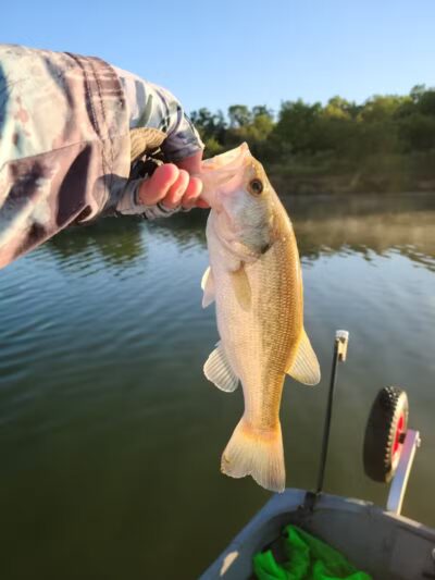 Badger Creek State Recreation Area - Van Meter, IA