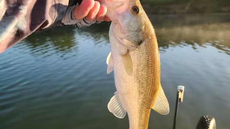 Badger Creek State Recreation Area - Van Meter, IA