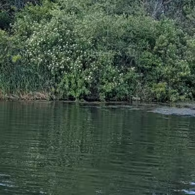 Badger Creek State Recreation Area - Van Meter, IA