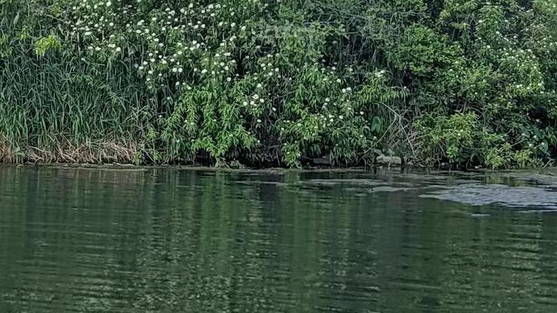 Badger Creek State Recreation Area - Van Meter, IA