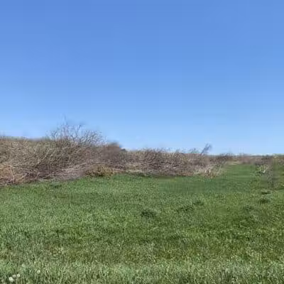 Badger Creek State Recreation Area - Van Meter, IA