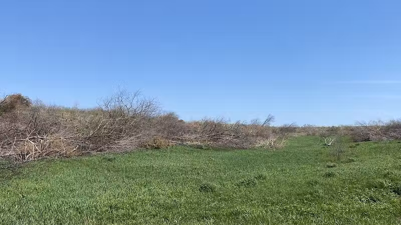 Badger Creek State Recreation Area - Van Meter, IA