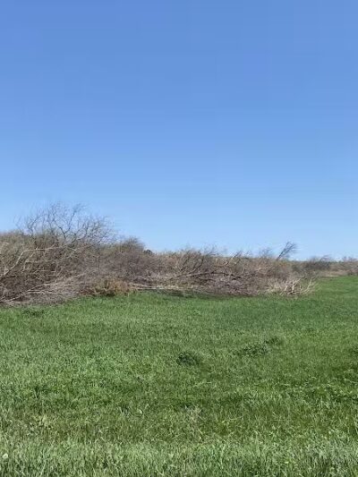 Badger Creek State Recreation Area - Van Meter, IA