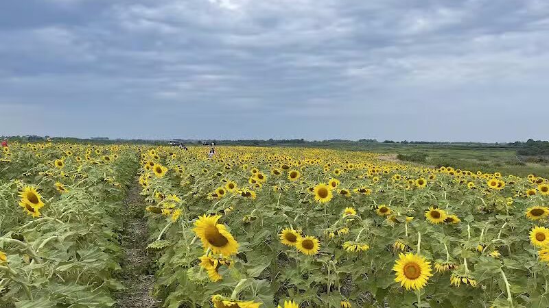 Badger Creek State Recreation Area - Van Meter, IA
