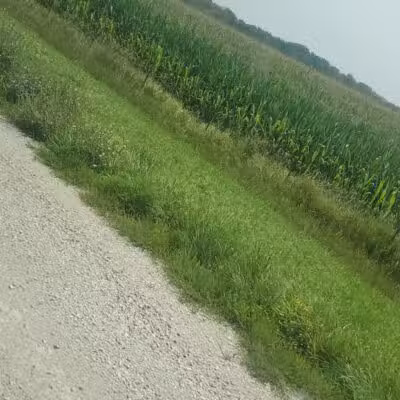 Johnson Park - Van Meter, IA