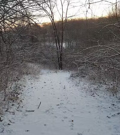 Trindle Park - Van Meter, IA