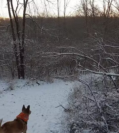 Trindle Park - Van Meter, IA
