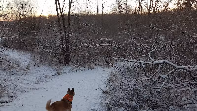 Trindle Park - Van Meter, IA