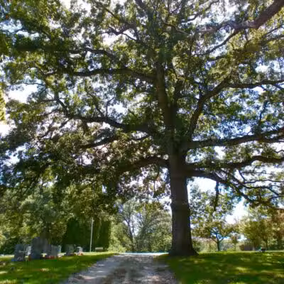 Trindle Park - Van Meter, IA