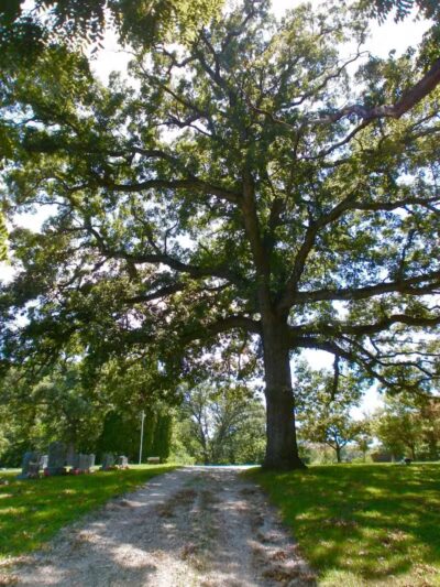 Trindle Park - Van Meter, IA