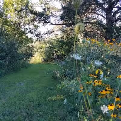Trindle Park - Van Meter, IA